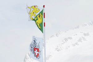 Schweizer und Thurgauer Fahne